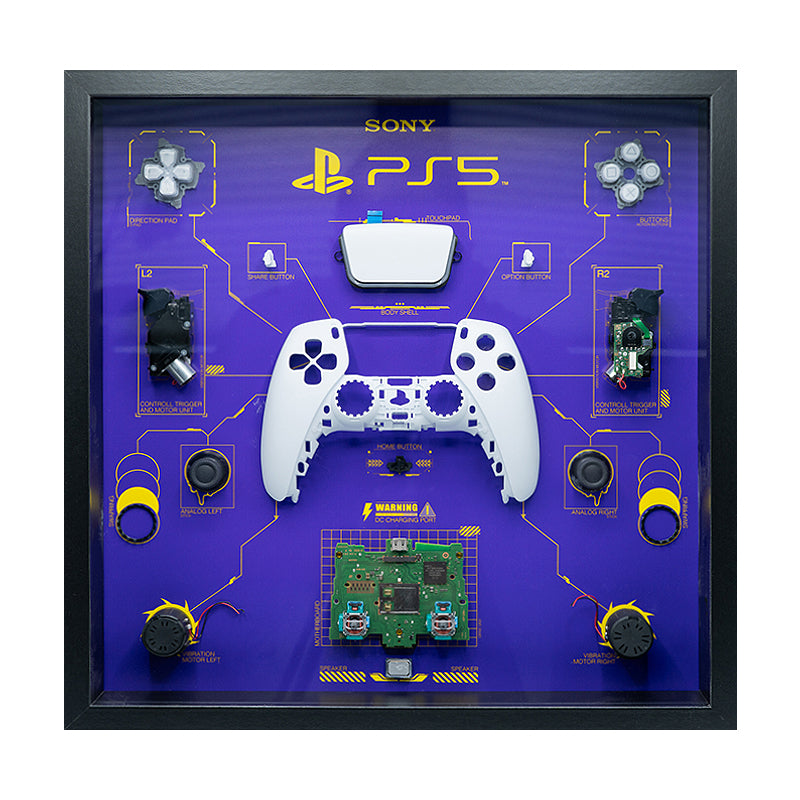 PS5 Showcase - Purple